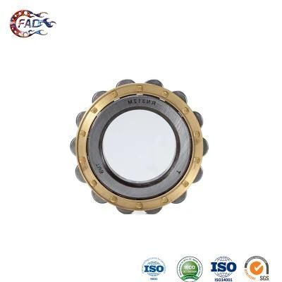 Xinhuo Bearing China 6203z Bearing Manufacturers 2RS1 Bearing N220e Axial Cylindrical Roller Bearing