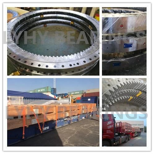 Slewing Ring Bearings Slewing Bearings Ring Bearings Rotary Bearings 9e-1b22-1087-1015