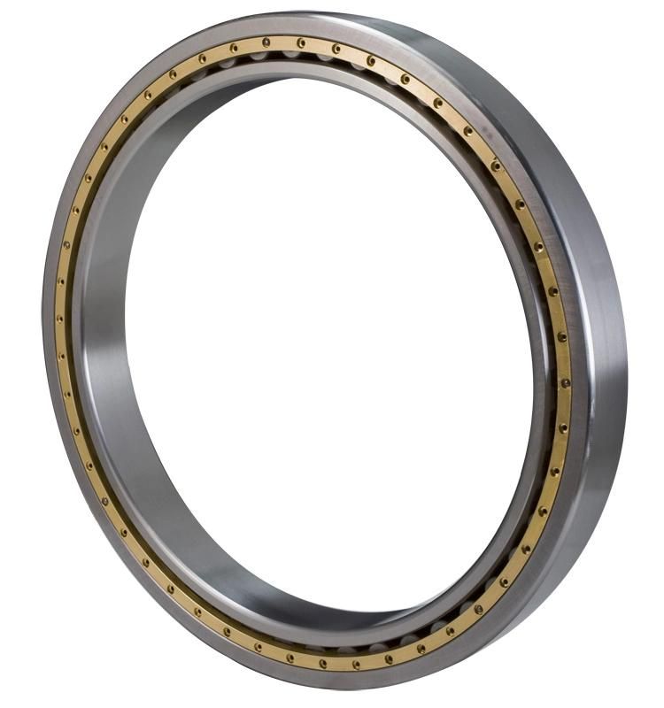 880mm Nu18/880 Single Row Cylindrical Roller Bearing Manufacturer