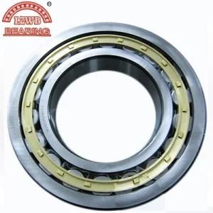 Professional Manufacturing Cylinder Roller Bearing (NU323M)
