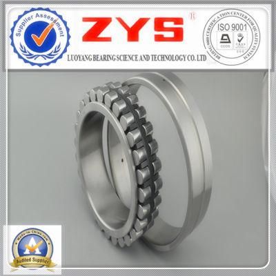Cylindrical Roller Bearings Nn3014K with High Accuracy Class