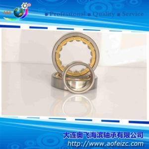 Roller Bearings Cylindrical Roller Bearing NU213M for Automobile Parts