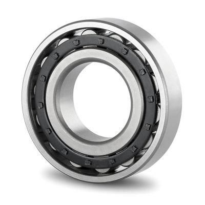 China High Quality Cylindrical Roller Bearing Nu311