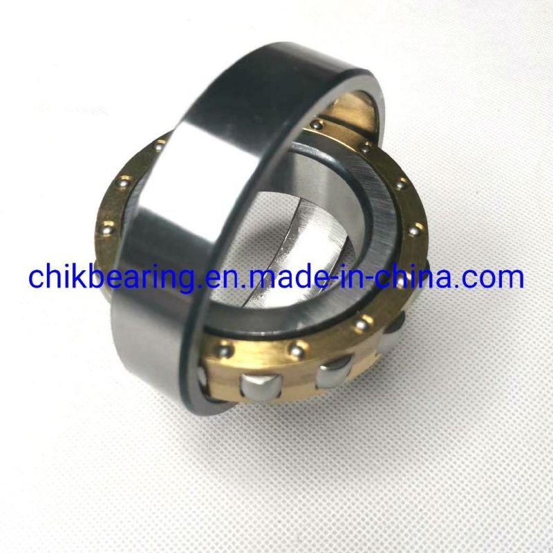 Roller Bearing Srv. 20205 Ktn9/C3 Srv. 20205 Tn9 20205-Tvp 20205ca/W33 Single Row Spherical Roller Bearing 20206 20207 20208 20209 20210 with High Quality