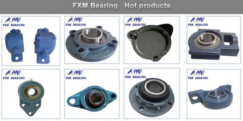 Sbfl201/Sbfl201-8/Sbfl202/Sbfl202-10/ UC/UCP/Ucf//Ucpa/Naflu Agriculture Pillow Block Bearing Insert Bearings