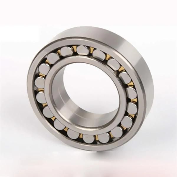 Line Contact Cylindrical Roller Bearings N1020K with International Certification