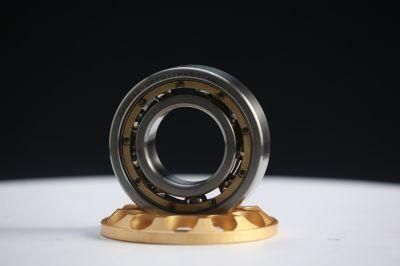 Zys High Speed Precision Auto Parts Rolling Bearings Deep Groove Ball Bearing 6009 for Instrument