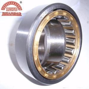 ISO Certified Single Row Steel Cage Cylindrical Roller Bearing
