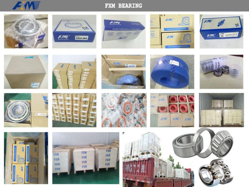 Hot Sale Stainless Steel Insert Ball Mounted Pillow Block Housing Spherical Insert Ball Bearings UC, Ug, SA, Sb Agricultur UCP Series Bearing