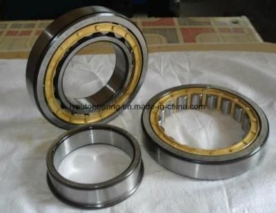 Cylindrical Roller Bearing Nn3036