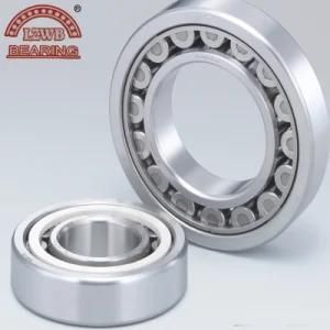 Single Row Brass Cage Cylindrical Roller Bearing