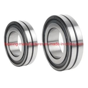 Double Sealed BS2-2206-2CS, BS2-2206-2RS/Vt143 Spherical Roller Bearing
