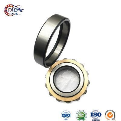 Xinhuo Bearing China Pillow Bearing Manufacturer Rls7 N305 Full Complement Cylindrical Roller Bearings