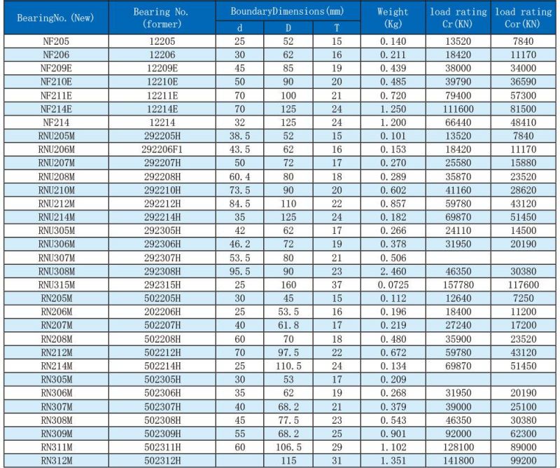 Double Row Cylindrical Roller Bearing