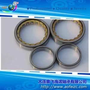 A&F Manufacturer Cylindrical Roller Bearing (NU1010M) Roller Bearings