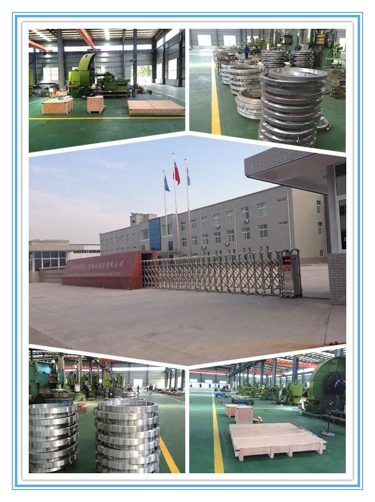 Slewing Ring Bearings Turntable Bearing Rotary Bearing Gear Bearings RKS. 061.20.0644