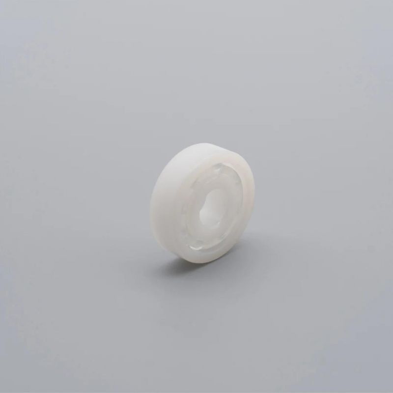 PP Bearings 6013 POM Plastic Bearing 6013