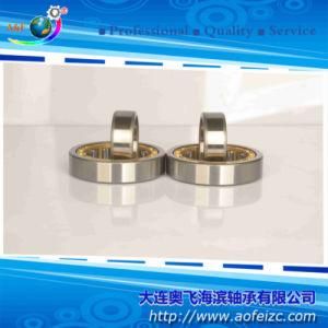 OEM Roller Bearings Cylindrical Roller Bearing (NU208M)