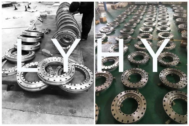 03-0181-07 Gearless Swing Bearing Slewing Ring Bearing
