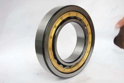 Vibrating Fine Sieve Cylindrical Roller Bearing Nu1020