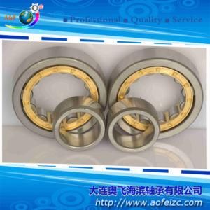 Cylindrical Roller Bearings Bearing NU309M