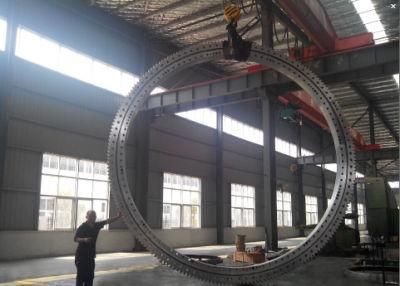 Slewing Bearing Slewing Ring Bearing Turntable Bearing 013.60.3150