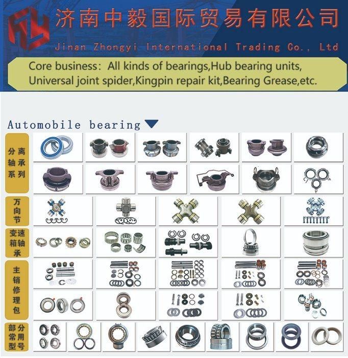Kingpin Repair Kit F3000 HD90009410357 54*230 517/54 917/54