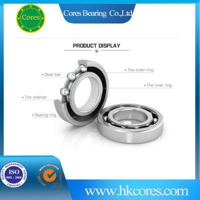 Professional Supply Long Life Mining Conveyor Idler Roller Bearing 6204 2RS 2RS1 C3