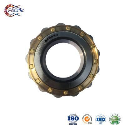 Xinhuo Bearing China Angular Bearing Manufacturer Hybrid Bearings N334em Axial Cylindrical Roller Bearing