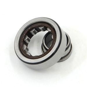 Cylindrical Roller Bearings Nup2309ecml Nu1010ml Nu1010ecp N210ecp Nj210ecj Nj210ecm Nj210ecp Nj210ecph Nu210ecj