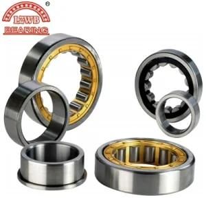 Most Competitive Price Stable Quality Cylinder Roller Bearing (NJ2210M)