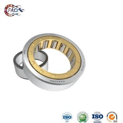 Xinhuo Bearing China 6304 Bearing Product 6318 C3 Bearing N208 Full Complement Cylindrical Roller Bearings