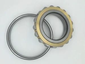 High Precision Nu226 Ecml Cylindrical Roller Bearing for Generator