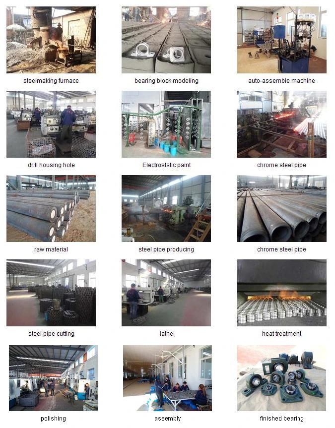 High Quality Grade Chrome Steel Pillow Block Bearings/ Ball Bearings/Taper Roller Bearing/Bearings (ISO certificate) /Insert Bearings (UC205 UC206 UC207)