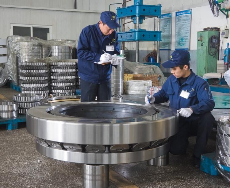 670mm Nn49/670 42829/670 Double Rows Cylindrical Roller Bearing