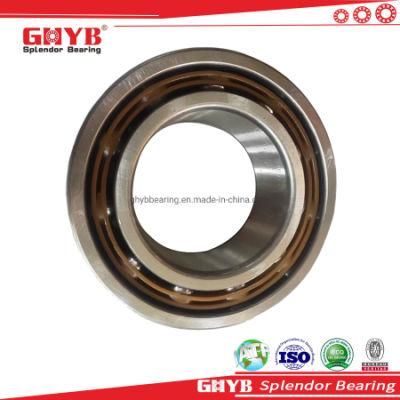 NSK NTN Koyo NACHI High Precision 7004AC Zz 2RS Open Seals Type Angular Contact Ball Bearing