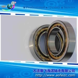 Original Germany Cylindrical Roller Bearing NU1024M for Electric Motors Automobiles