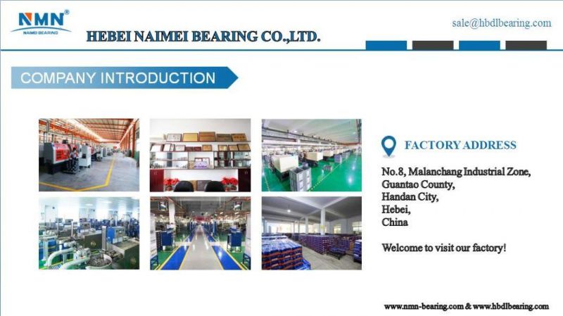 Deep Groove Ball Bearing Price List 6011 2RS Zz Ee Llu DDU Zn Nr C0 C3 55*90*18mm Steel Ball Bearing
