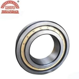 Most Competitive Price Fast Delivery Cylinder Roller Bearing (NUP319)