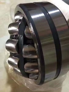 Spherical Roller Bearings BS2-2224-2RS5/Vt143 BS2-2224-2RS5K/Vt143 23224cc/W33 23224cck/W33 23224-2CS5/Vt143 23224-2CS5K/Vt143 22324cc/W33