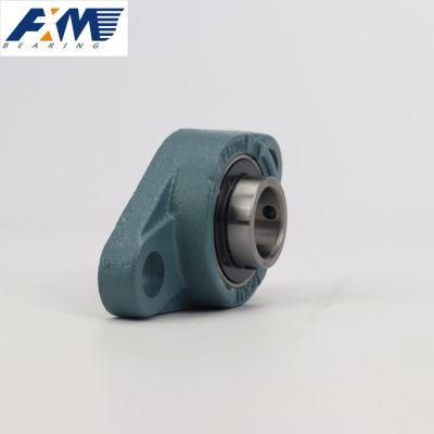 Factory Direct Supply UCP 206 Insert Bearing FAG Original Pillow Block Bearing