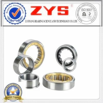 Double Row Cylindrical Roller Bearing Catalogue