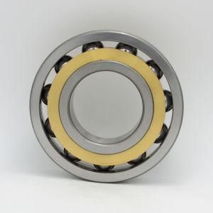 Angular Contact Ball Bearings C-T-P4s-UL E-T-P4s-UL B7204 B7205 B7206 B7013 B7010 B7009 B7005 B7200 B7207 B7221 B7232 B7234 B7238 B7244 B7240
