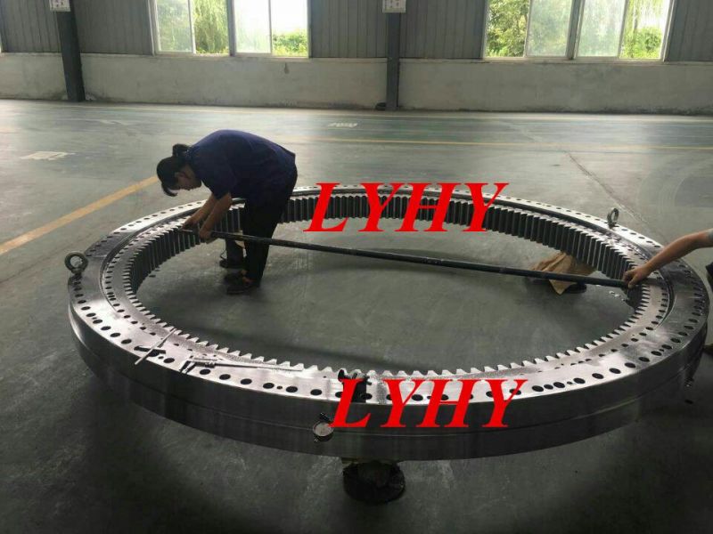 Double Row Ball Slewing Bearings with External Teeth Ve086b03
