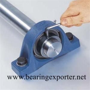Pillow Block Bearing Unit Sbpft204-12 for Beverage Processing Machine