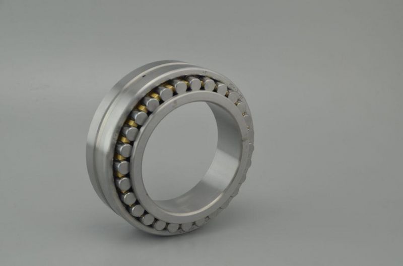 High Speed Cylindrical Roller Bearings N1040K for Generator