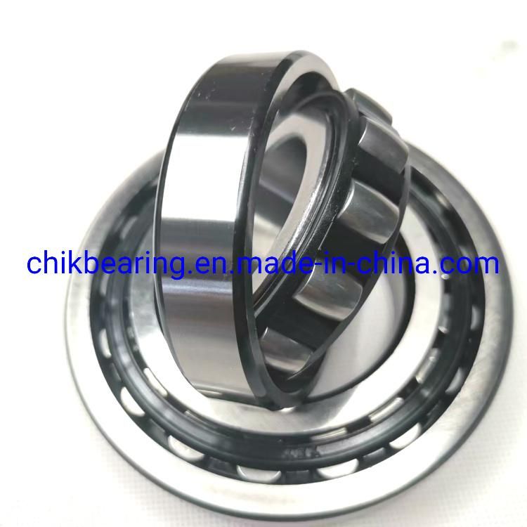 Roller Bearing Srv. 20205 Ktn9/C3 Srv. 20205 Tn9 20205-Tvp 20205ca/W33 Single Row Spherical Roller Bearing 20206 20207 20208 20209 20210 with High Quality