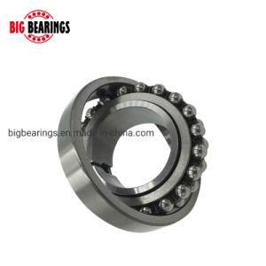 Wholesale Competitive Price Japan 1202 Ent9 NSK Self-Aligning Ball Bearing