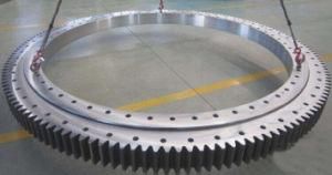 E. 1200.25.00. D. 1 Slewing Bearing/Slewing Ring/Turntable Bearing