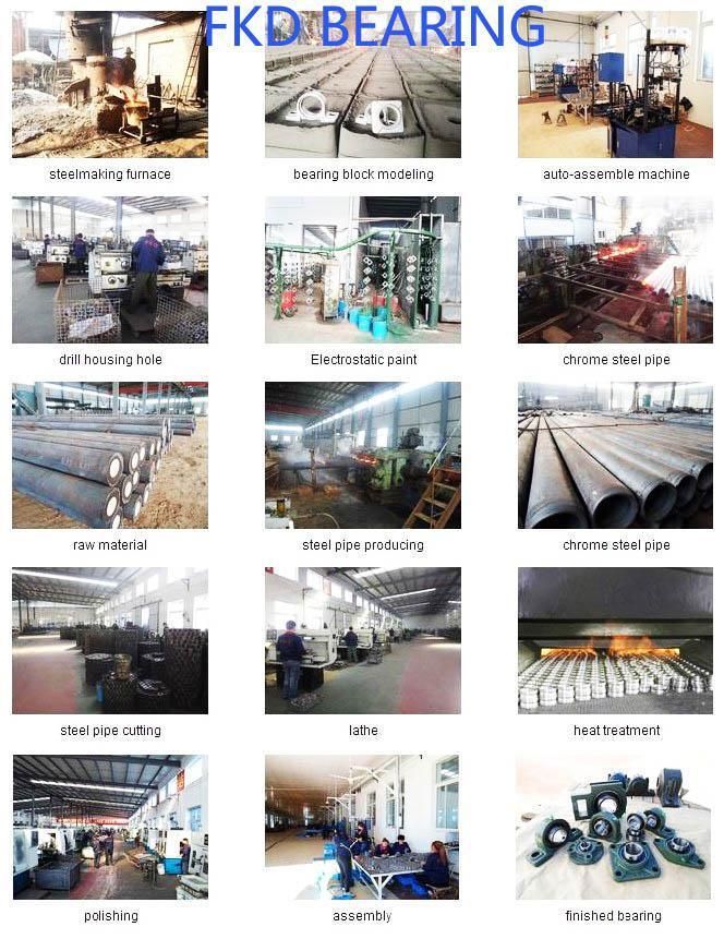 Chrome Steel Pillow Block Bearings with Bearing Units and Bearing Housings
